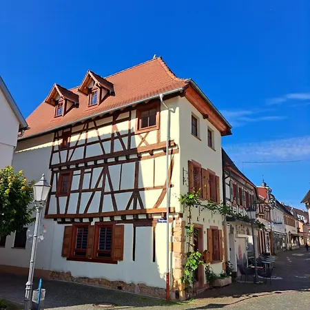 Gaestehaus Merlin Mit Saunabereich Bad Bergzabern Exterior foto
